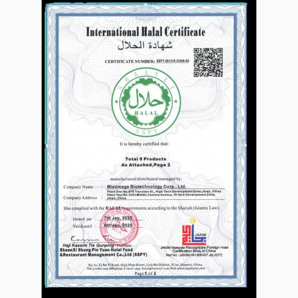 HALAL Certification