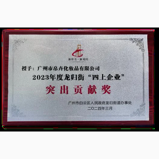 Outstanding Contribution Award