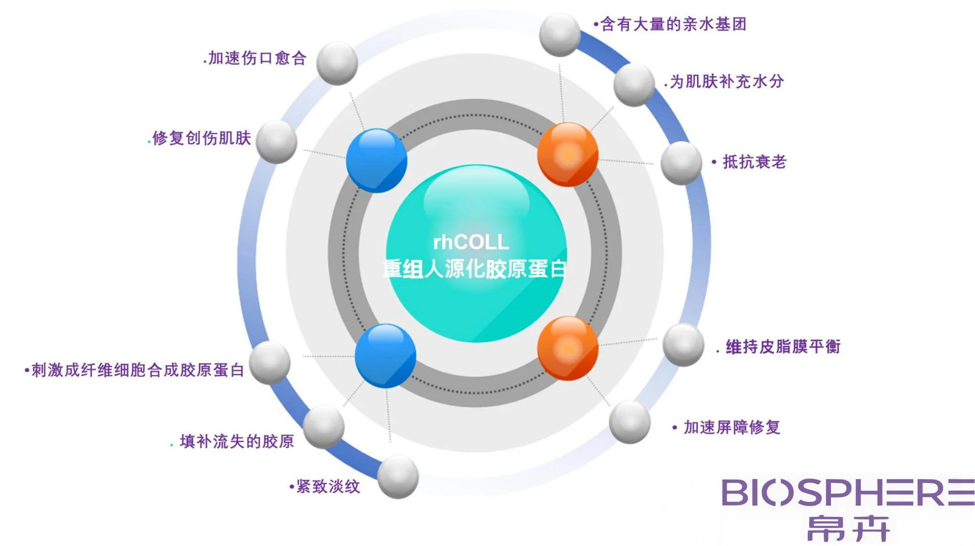 03 Biosynthesis